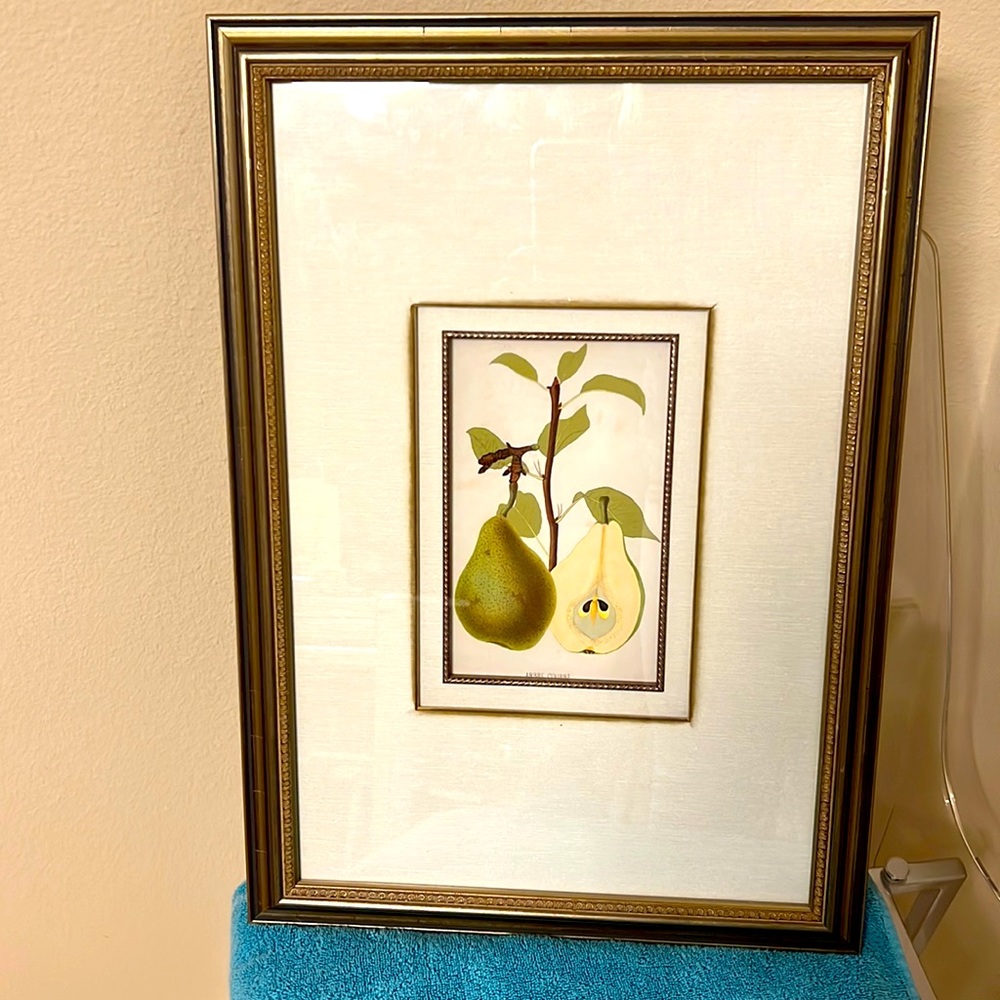 A botanical print
